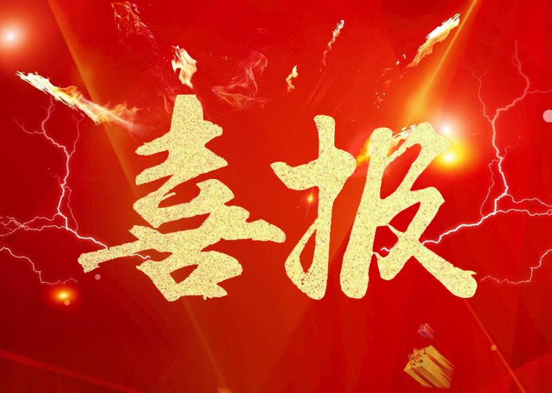 喜报 | suncitygroup太阳显示荣膺LED显示屏行业2019年知名品牌